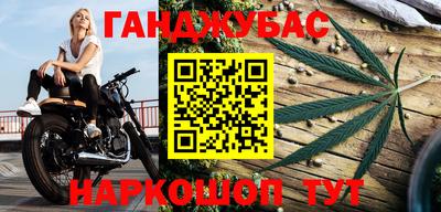 сатива Малгобек