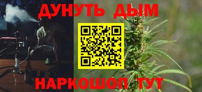 сатива Малгобек