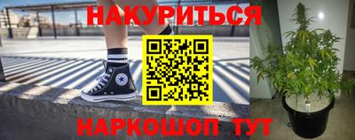 сатива Малгобек