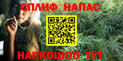сатива Малгобек