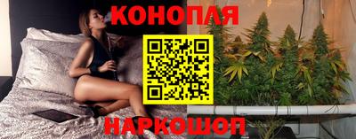 сатива Малгобек