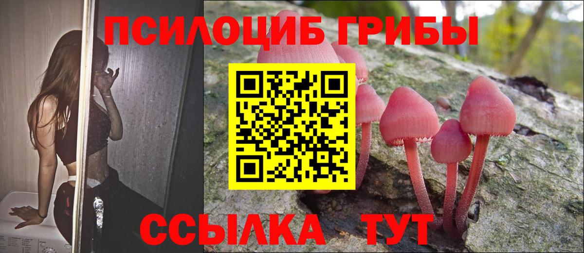 Галлюциногенные грибы GOLDEN TEACHER Волжский
