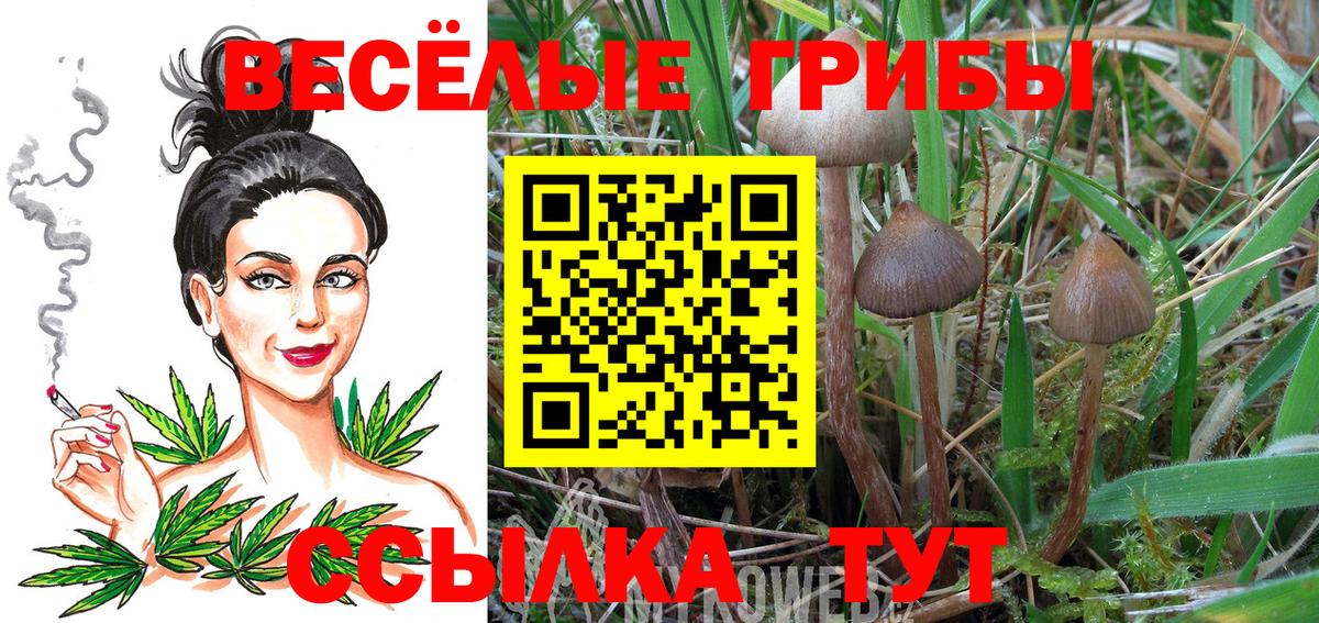Галлюциногенные грибы MAGIC MUSHROOMS  Вход с VPN  Волжский  Псилоцибиновые грибы мицелий 